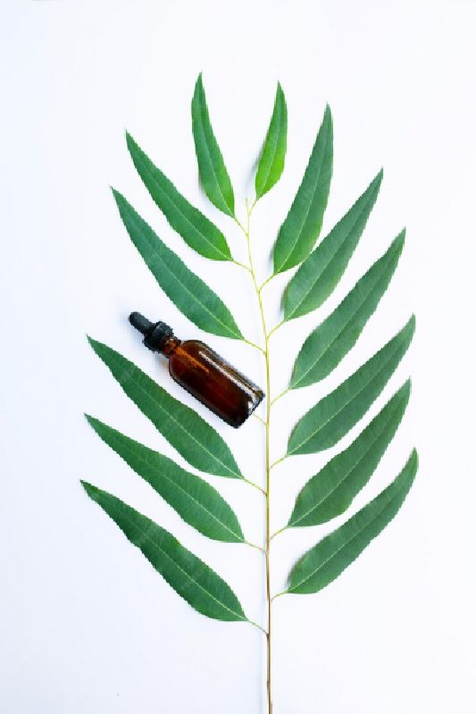 اسانس برگ زیتون OLIVE LEAF یک 1 کیلویی پیرامید تجارت ارومیه