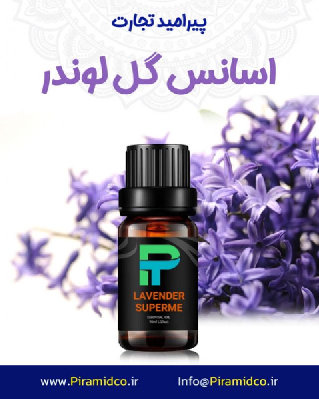 اسانس گل لوندر LAVANDER پنج 5 کیلویی کامران آزادی پیرامید تجارت ارومیه